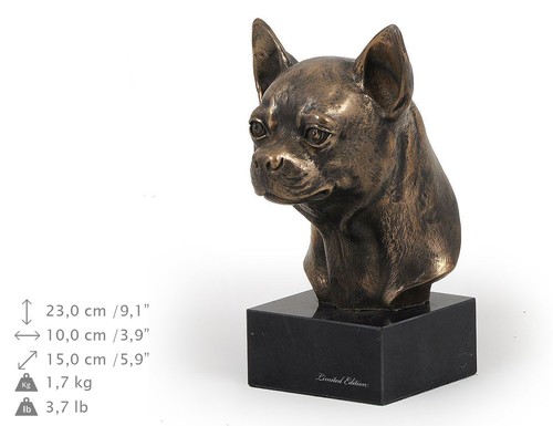 Chihuahua dai capelli - , lisci
