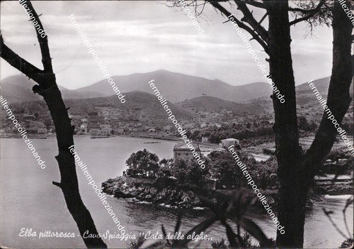 Ah802 cartolina elba - cartolina,