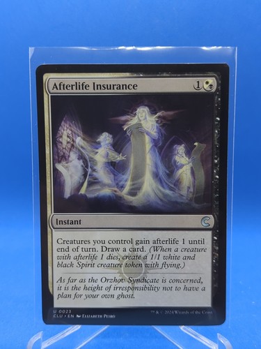 Afterlife insurance 0023 - afterlife,
