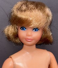 Vintage Pose n Play Skipper