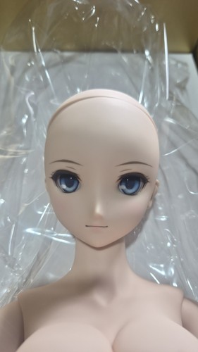 Dollfie dream fate ruler - dream,