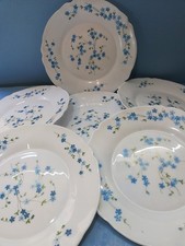 ARCOPAL FRANCE MYOSOTIS VERONICA SET 6 PIATTI PIANI FIORI AZZURRI 