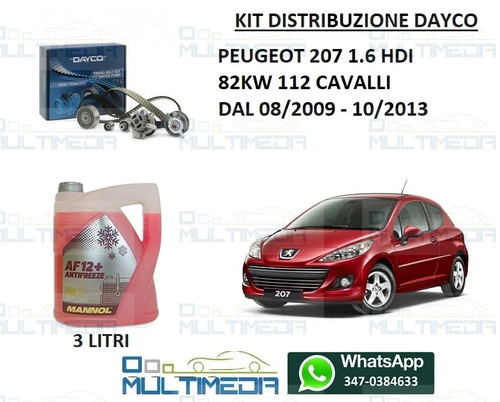 Kit distribuzione pompa - distribuzione,