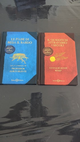 Quidditch attraverso le - il,