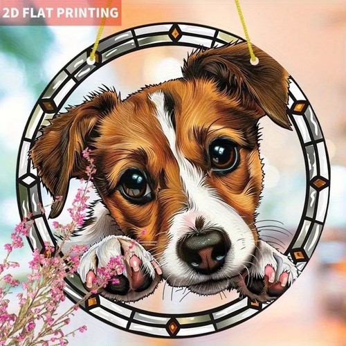 Jack russell terrier - jack,