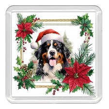 Bernese Mountain Dog Christmas