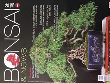 Bonsai & News 2021 184