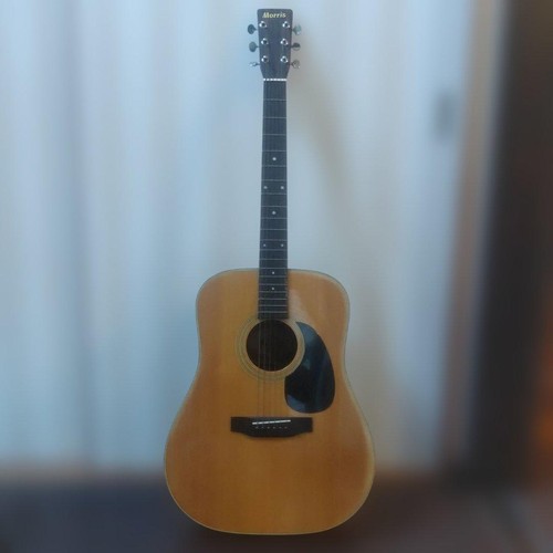 Chitarra acustica morris 18 - acustica, w-18