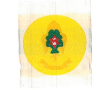 SCOUTS OF NEPAL - TOPPA SPALLA