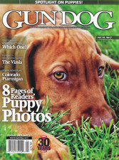 Gun Dog Magazine Reader Puppy