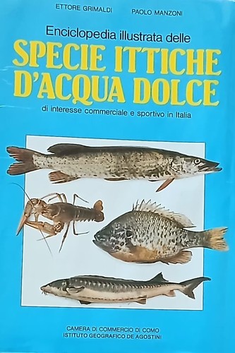 Grimaldi manzoni specie - grimaldi/manzoni,