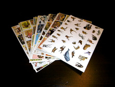 SERIE COMPLETA PER ALBUM DI FIGURINE PANINI I MAMMIFERI TUTTE NUOVE CON VELINA