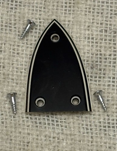 Vintage truss rod cover - vintage,