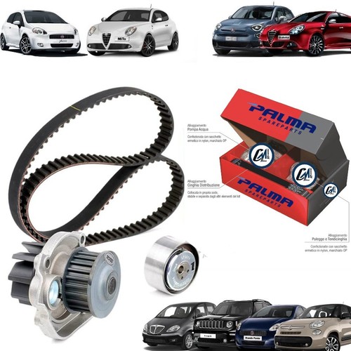 Kit distribuzione pompa - distribuzione, +