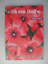 Bloms Bulbs - Tulips 2016