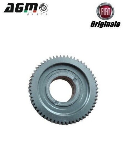 Ingranaggio velocita 58x31 - velocita',