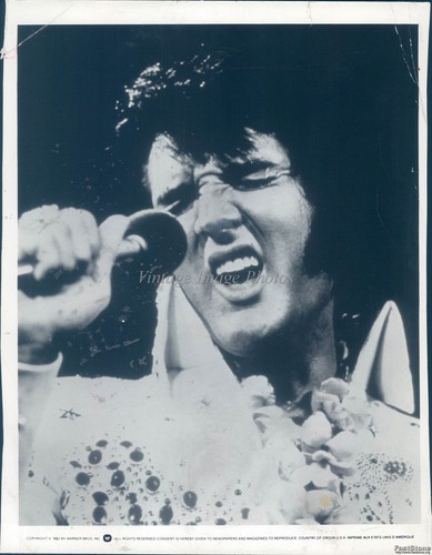 Microfono usa elvis - usa, presley