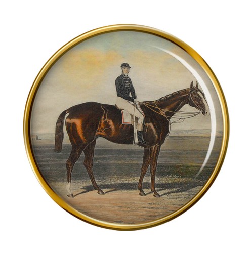 Cavallo corsa meteor spilla - corsa,