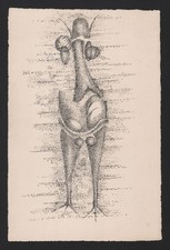Arte brut outsider - arte,