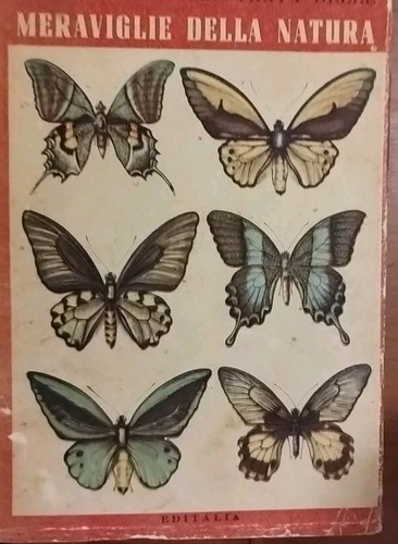 Enciclopedia illustrata delle