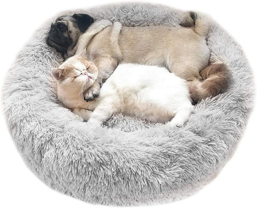 Cuccia per gatti cani - cuccia,