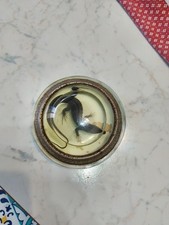 Lucertola imbalsamata