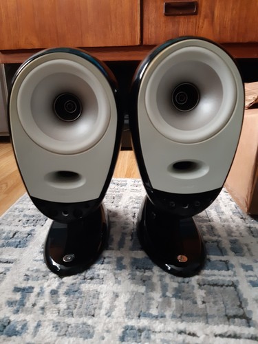 Altoparlanti tannoy arena - tannoy,