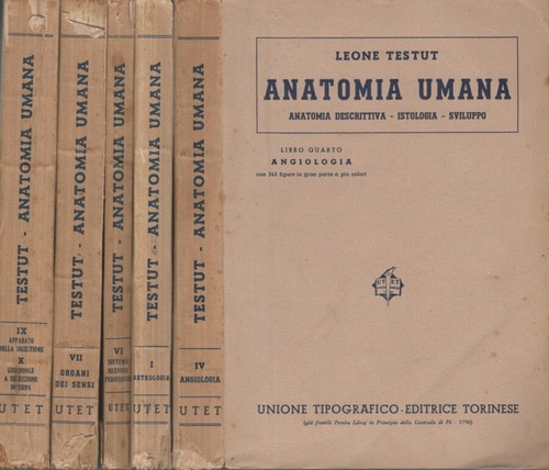 Anatomia umana - anatomia, umana.