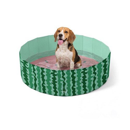 Piscina plastica per cane - plastica,