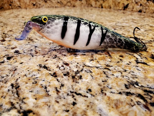Rapala super shad rap ssr - rapala,