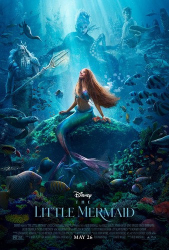 Sirenetta little mermaid - la,
