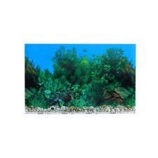 X42cm sfondo acquario - x42cm,