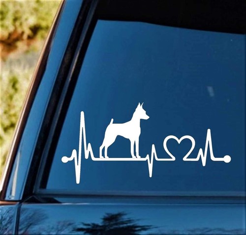 Min pin miniatura pinscher - min,