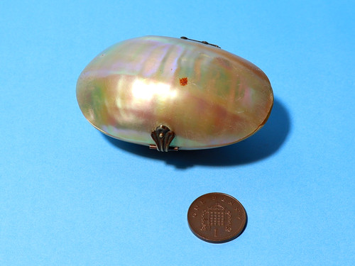 Antica scatola