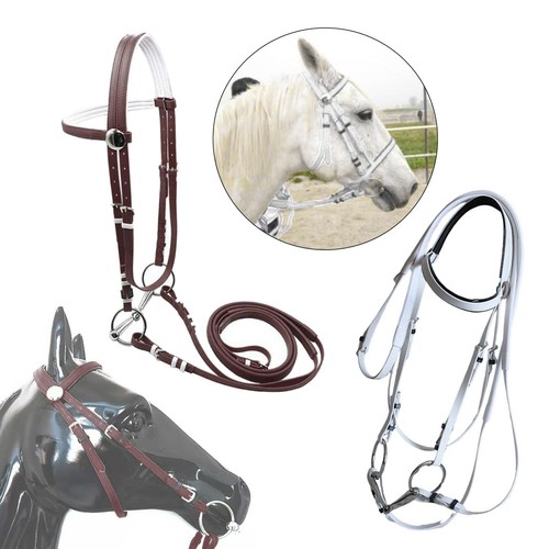 Briglia per cavallo con