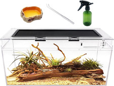 reptile terrariumSet terrario