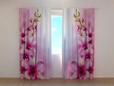 Tende Orchidea Rampicante