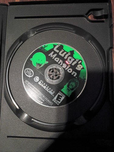 Luigi mansion nintendo - luigi's,