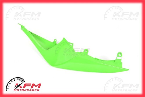Zx10r 10r 2008 - 2009, carena