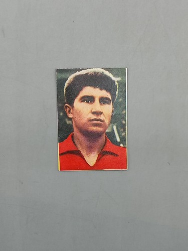 Figurina coppa rimet 1966 - coppa,