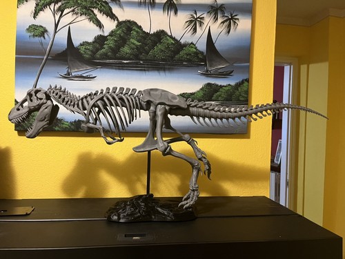 Trex tyrannosaurus rex