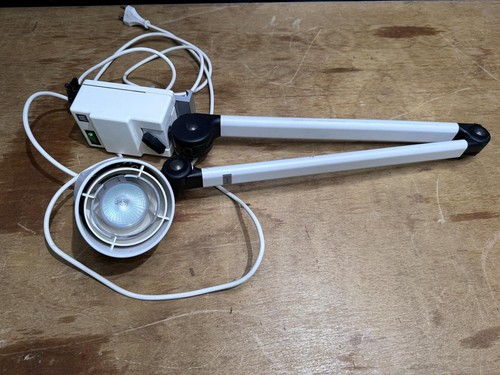 Waldmann n - waldmann,