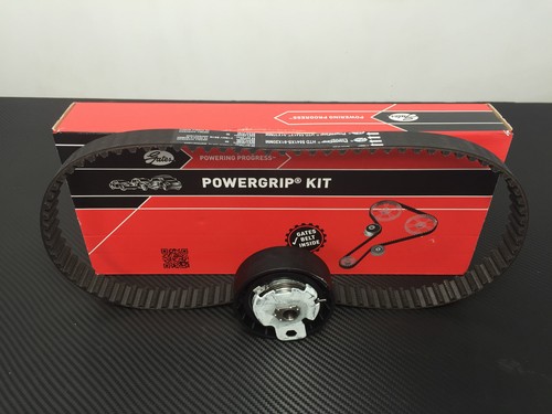 Kit cinghia distribuzione ford - cinghia,