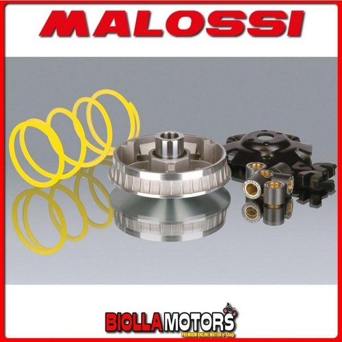 5111257 variatore malossi - variatore,