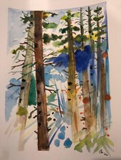 Acquarello - Colori d’ Autunno