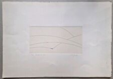 ACQUAFORTE ORIGINALE DI