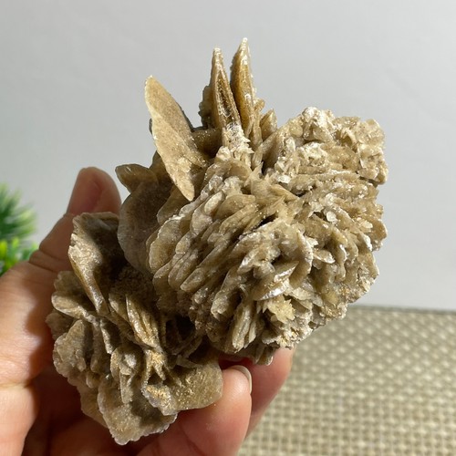 148g rosa del deserto - 148g,