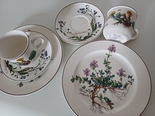 Villeroy & Boch Botanica tazza