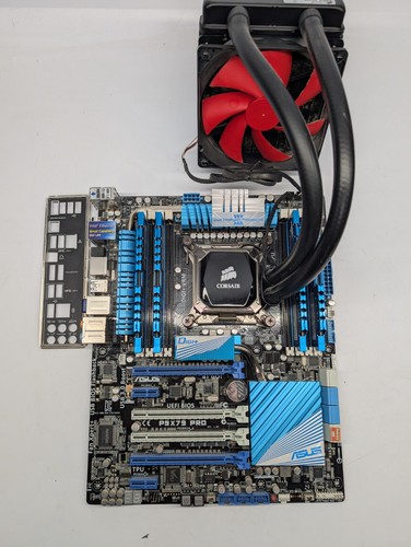 Scheda madre asus - madre,