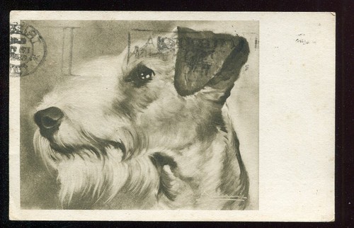 Cartolina illustrata 1938 - illustrata,